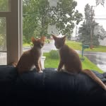 Jane Pomeroy Foster - @janefoster4089 - Instagram