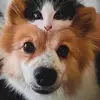 janepomeroyfoster - @janepomeroyfoster - TikTok