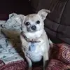 Jan Poole - @jan.poole - TikTok