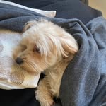 Jan Pope - @janpope5886 - Instagram