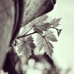 Jan Posch - @janposch - Instagram