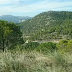 William Jan Posch - @william.posch - Instagram