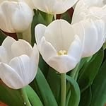 Jan Potter - @jan.potter.581 - Instagram