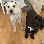 Jan Potter - @janpotter0404 - Instagram