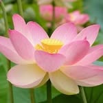 Jan Potter - @jan.potter573 - Instagram
