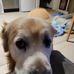 Janet Power - Facebook