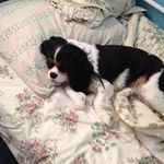 Jan Powers - @alaskaheatwave - Instagram