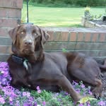 Jan Powers - @jan.powers.58118 - Instagram