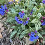Jan Powers - @jjopowers - Instagram