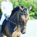 Jan Prentice - @janpx2xjp - Instagram