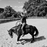 Jan Pressel - @janpressel - Instagram