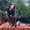 presslj - @pressley_janveau2005 - TikTok