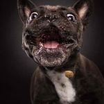 Jan Pretorius - @jlpretorius002 - Instagram