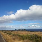 Janie Prevost - @janieprevost - Instagram