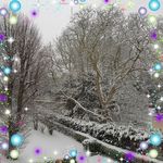 Janine Prevost - @janine.prevost.148 - Instagram