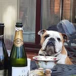 Janice Priestly - @jan.priestly - Instagram