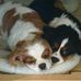 Jan Pringle - Facebook