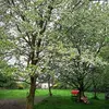 Jan Prokes786 - @janprokes - TikTok