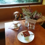 jan prokes - @n.nabidekk - Instagram
