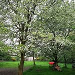 Jan Prokes - @jan.prokes1 - Instagram