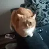 Jan Prusakowski - @janprusakowski - TikTok