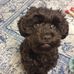 Jan Purcell - Facebook
