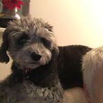 Jan Purcell - @purcell6538 - Instagram