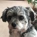 Jane Purvis - Facebook