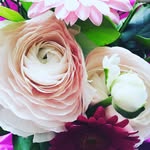 Jan Quinn - @janquinn6689 - Instagram