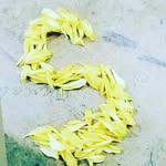Jshree Jassk - @jan_quinn_jass - Instagram