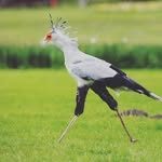 Imperiosa - @janquista - Instagram