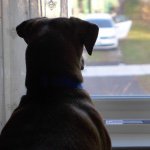 Jody - @7_janquist - Instagram