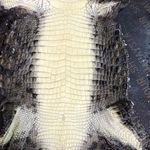 Jan Rabie - @jan.rabie.7311 - Instagram