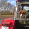 jan rademaker - @jan.rademaker8 - TikTok