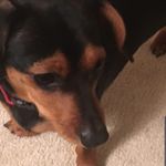 @jan_randolph.01 - Instagram