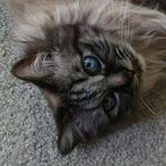 Jan Randolph - @mommaz.randolph - Instagram