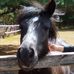Jane Ransom - Facebook