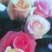 Jan Ailz Read - Facebook