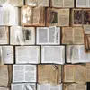Janereads📚📚📙📗 - @janereads4 - TikTok
