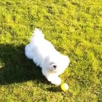 Jan Reiß - @jan_reiss1 - Instagram