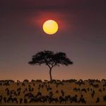 Janrich - @janrich__steyn - Instagram