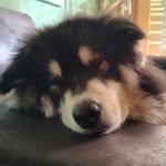 Jan Richter - @jan.richter1965 - Instagram