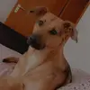 Jan Richter - @jan.richter31 - TikTok