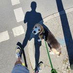vlad.levkutnyk - @janrider - Instagram