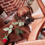 Jan Ridge - @jan_ridge - Instagram