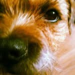 janridge - @janridge - Instagram