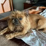 Jan Robbins - @janrobbins5630 - Instagram