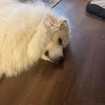 Jan Robbins - @jan413194 - Instagram