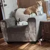 Munchkins & Roxy's mom - @janrobbins612 - TikTok
