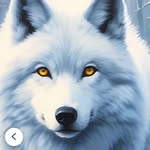 Jan Roberson - @jan30471 - Instagram